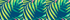Baltic Teal Multi Palm