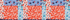 Multi Patchwork Floral
