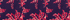 Blackberry/Strawberry Jacobean