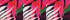 Hot Pink Tropical Palm