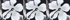 Black/White Floral Palm