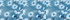 Muted Blue Daisy Floral
