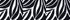 Black/White Abstract Floral