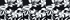 Black/White Graphic Floral