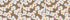 Honey Beige Tossed Blooms