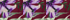Aubergine Hibiscus Flower