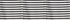 Striped Print