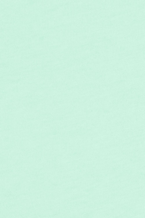 Frosted Mint