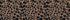 Warm Brown Spotted Leopard