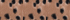 Warm Tawny Brown Animal Spots