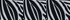 Black/White Abstract Floral