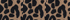 Warm Brown Spotted Leopard