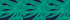 Navy/Emerald Palm Foliage
