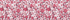 Dogwood Blossom Floral