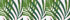 White/Pink Striped Palm