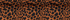 Burnt Caramel Leopard Print