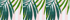 White/Pink Striped Palm