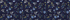 True Navy Floral