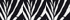 Ivory/Black Palm