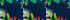 Deep Sea Navy Tropical Scenic