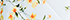 Crisp White Sweet Mango Floral