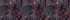 Black/Hot Pink Multi Paisley