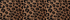 Spotted Leopard Suede