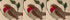 Robins
