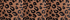 Warm Brown Spotted Leopard
