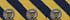 Dcds Stripe
