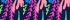 Deep Sea Navy Multi Coral