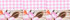 Palm/Wild Blossom Gingham Mix