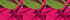 Dark Wine Multi Tropical Palm