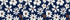 Navy/Egret White Daisy Floral