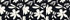 Black/Egret White Aster Floral