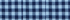 Soft Lake Blue Check