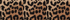 Warm Tawny Brown Leopard
