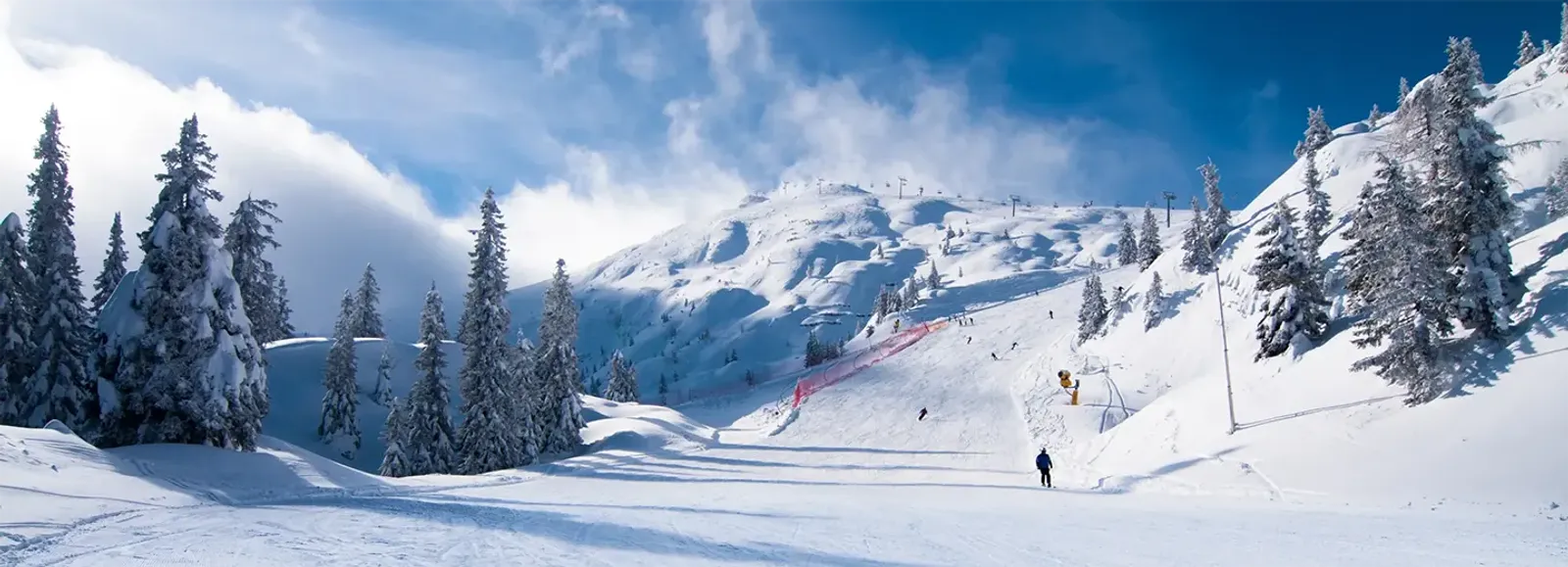 Snowy alpine ski slope with tall spruces and scattered skiers.