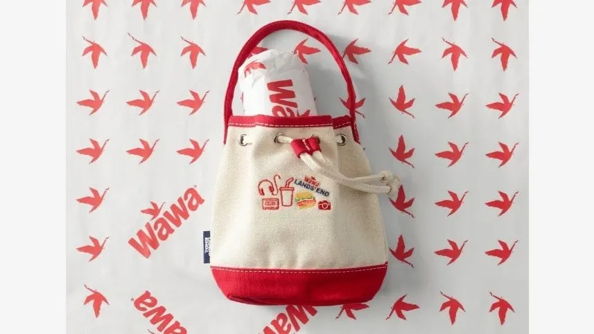 Wawa x Lands' End Shorti Tote.