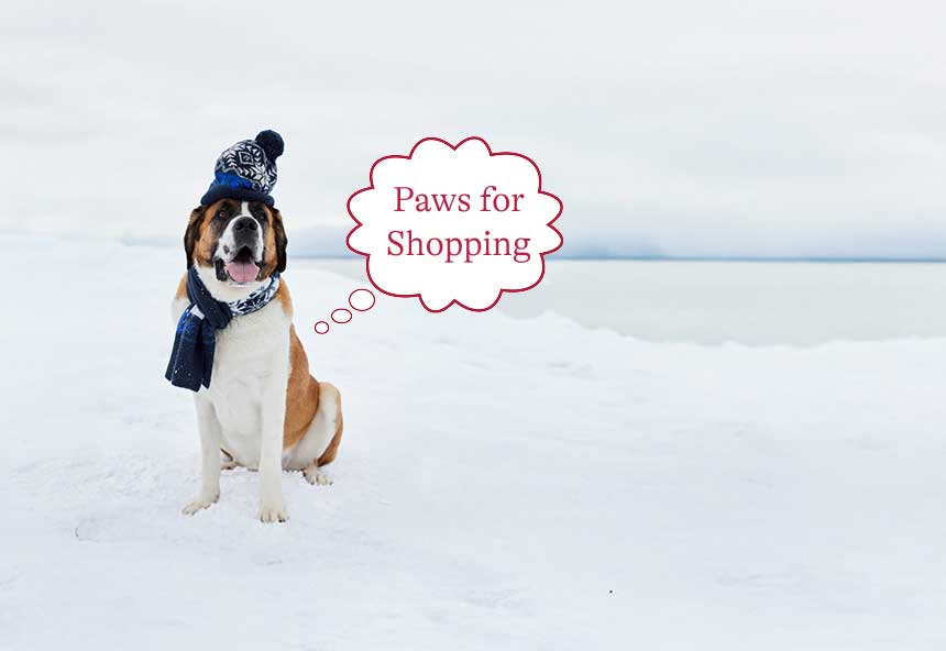 Dog wearing a scarf and hat