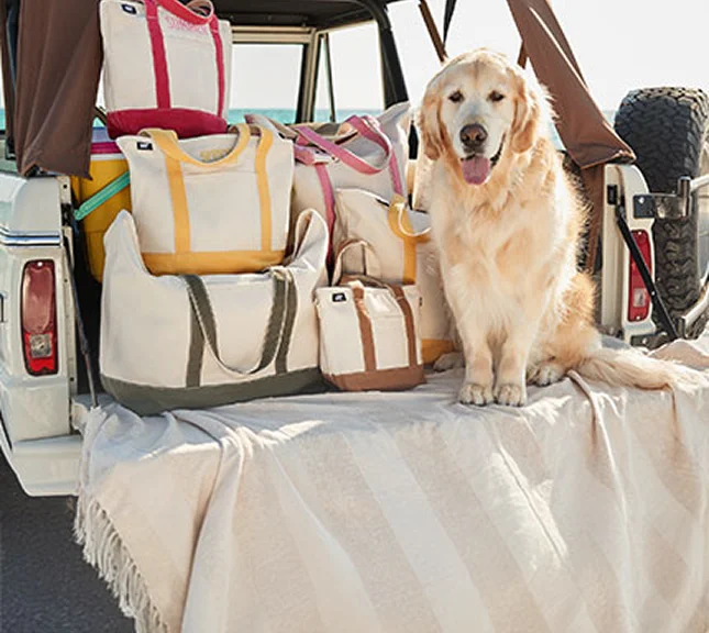 A golden retreiver sits in the back bed of a jeep that is filled with totes.