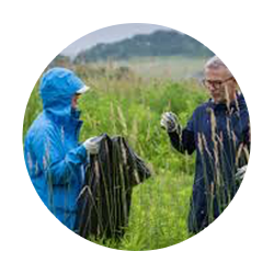 Volunteers cleaning up marshland